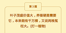 王者猜谜语第3题答案  叶子茂盛价值大养蚕硬是需要它