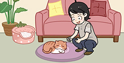 藏猫猫大作战攻略  藏猫猫大作战全关卡图文攻略