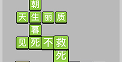 成语小秀才每日挑战5月8日答案  成语小秀才5.8答案