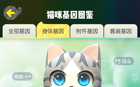 一起来捉妖专属猫基因有什么用 专属猫基因图鉴