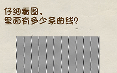 神脑洞游戏第16关攻略  仔细看图里面有多少条曲线